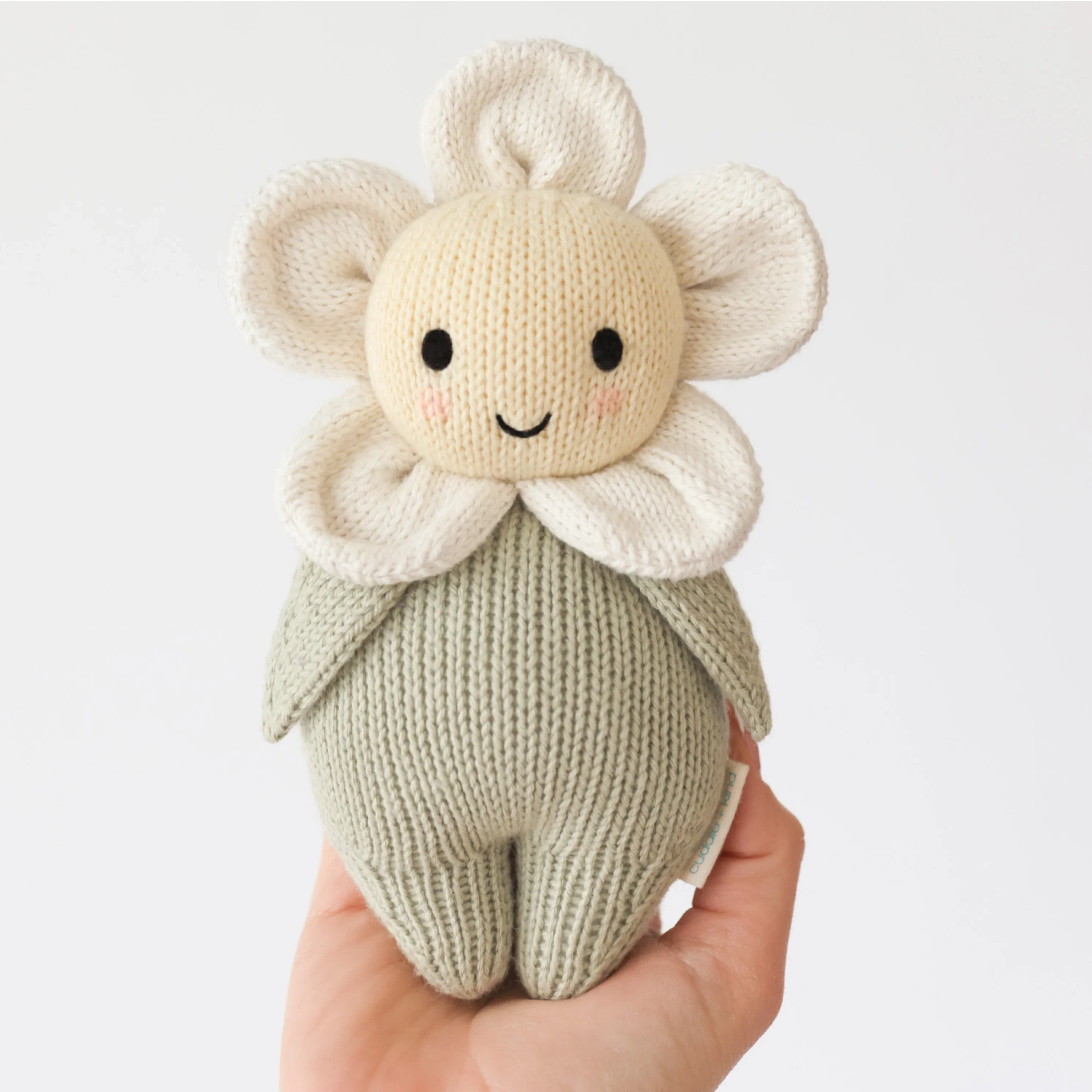 Baby daisy (ivory)
